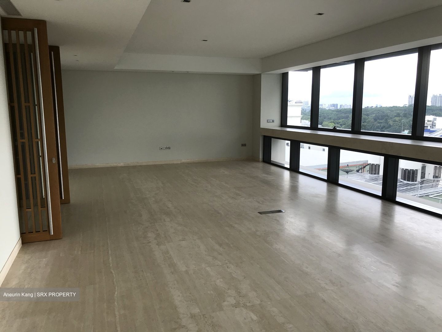 Hana (D10), Condominium #582981741